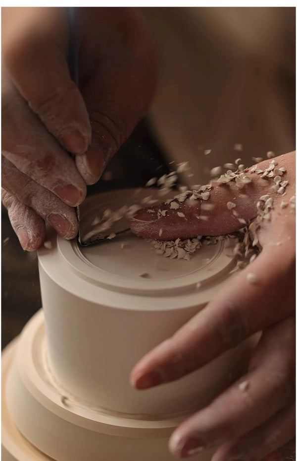 Rainrest & Forest Mist