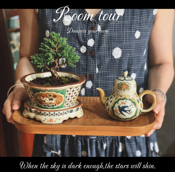 Today's sharing: A small pine tree in a bonsai form.