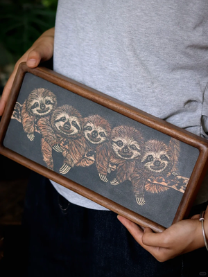 Lovely Sloth