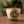 Elephant Motif Fairness Pitcher with Leaf Pattern