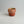 TriFire Earthen Floral Ceramic Cup